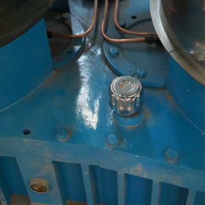 बायोमास लकड़ी का बुरादा चावल की भूसी की भूसी के लिए उच्च दक्षता वाली लकड़ी गोली मिल