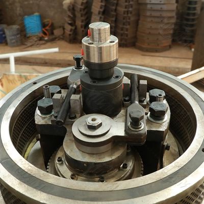 ईंधन नीलगिरी लकड़ी छर्रों मशीन कार्यक्षेत्र अंगूठी मरो 3t / H