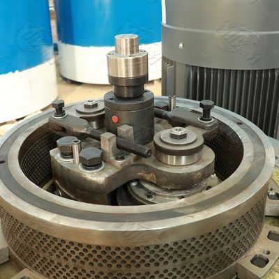 डबल परत कॉफी बायोमास लकड़ी छर्रों मशीन 0.6mm 1500kgs/H