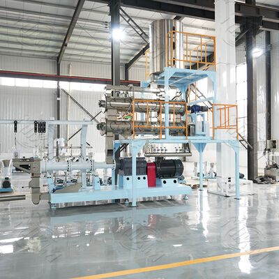 Twin screw floating fish feed pellet extruder machine Wet Type Pellet Floating Feed Steam Home Use Plant Manufacturer Core Pump Gear Bearing