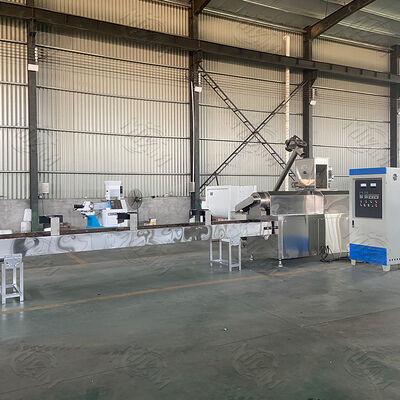 पेट फ़ीड उत्पादन लाइन के लिए 100-1000 किग्रा/घंटा क्षमता वाली ट्विन स्क्रू एक्सट्रूडर, स्टेनलेस स्टील फ़ूड ग्रेड और पूरी तरह से स्वचालित नियंत्रण प्रणाली में