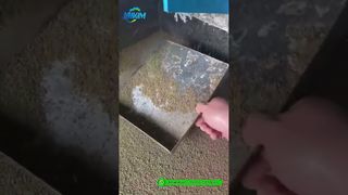 झींगा फ़ीड गोली मिल | फ़ैक्टरी में तैयार उत्पाद उत्पादन डेमो#फीड पेलेट मशीन